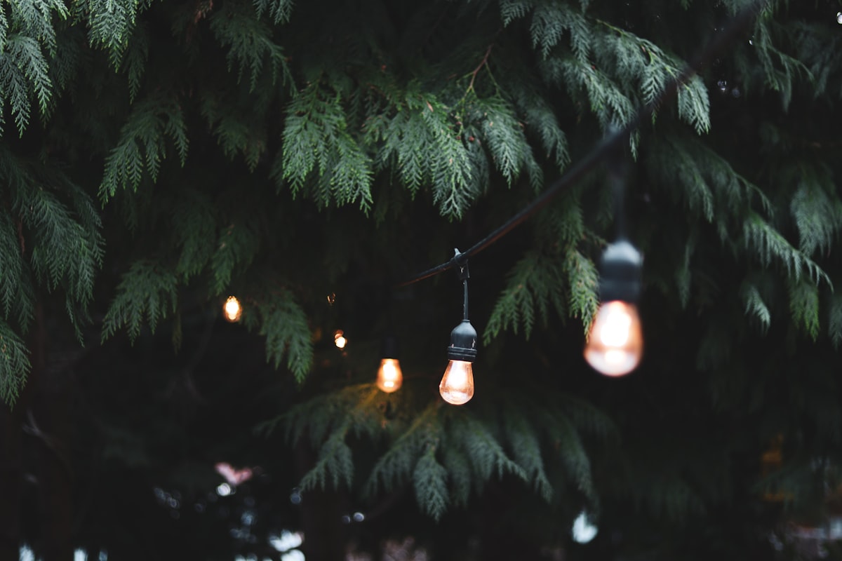 Solar garden string lights, close-up view