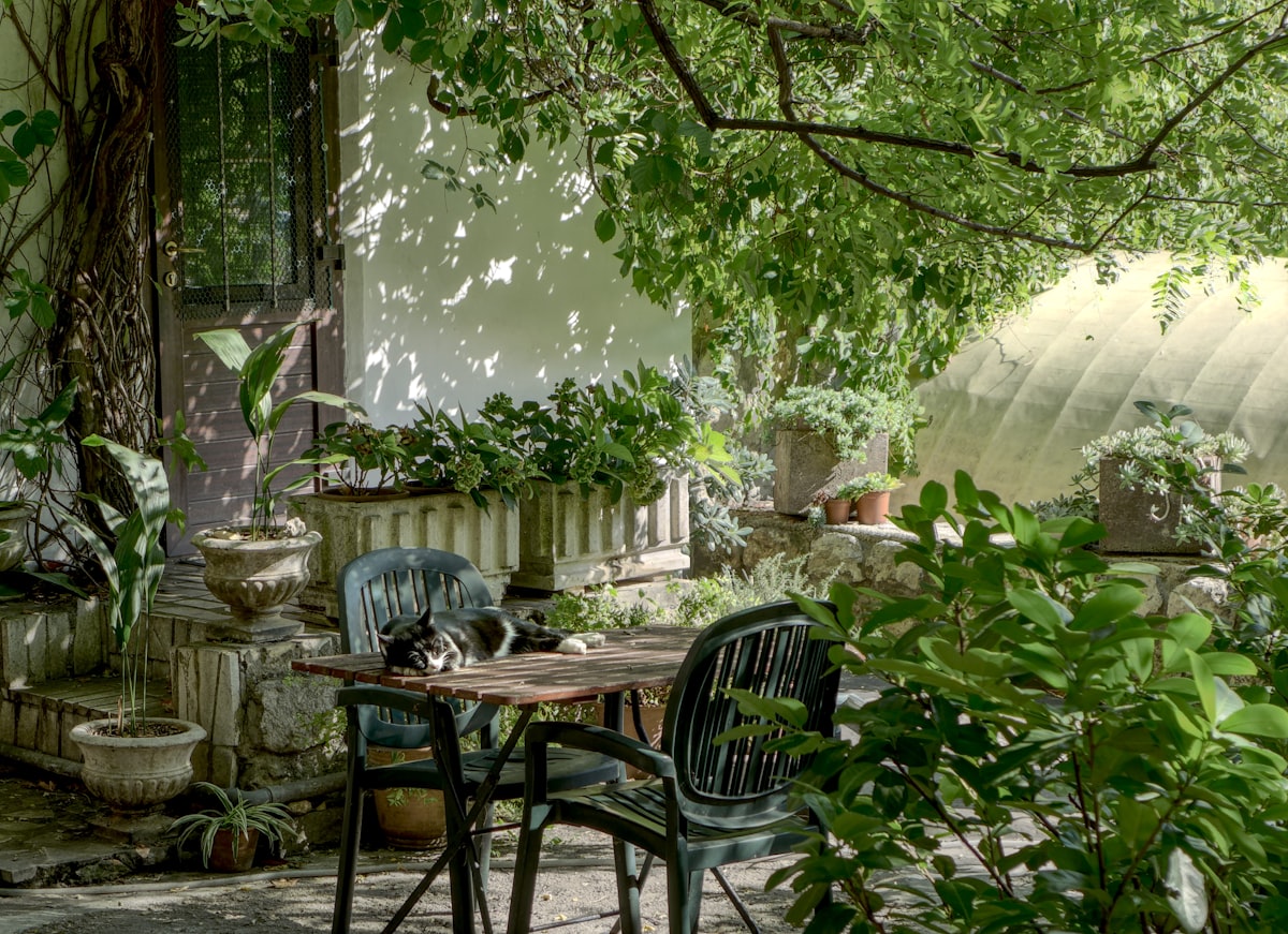 Rattan-effect garden armchair