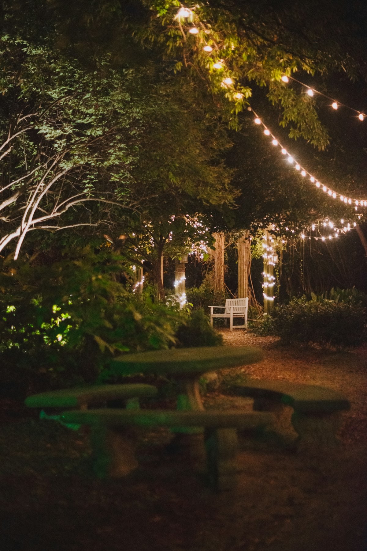 Solar garden string lights, evening view