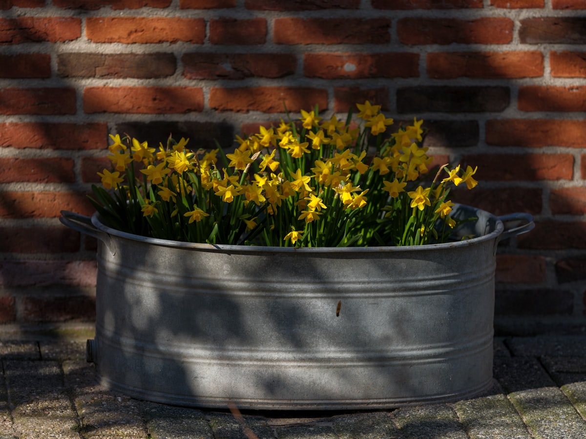 Galvanised steel planter set, styled garden view