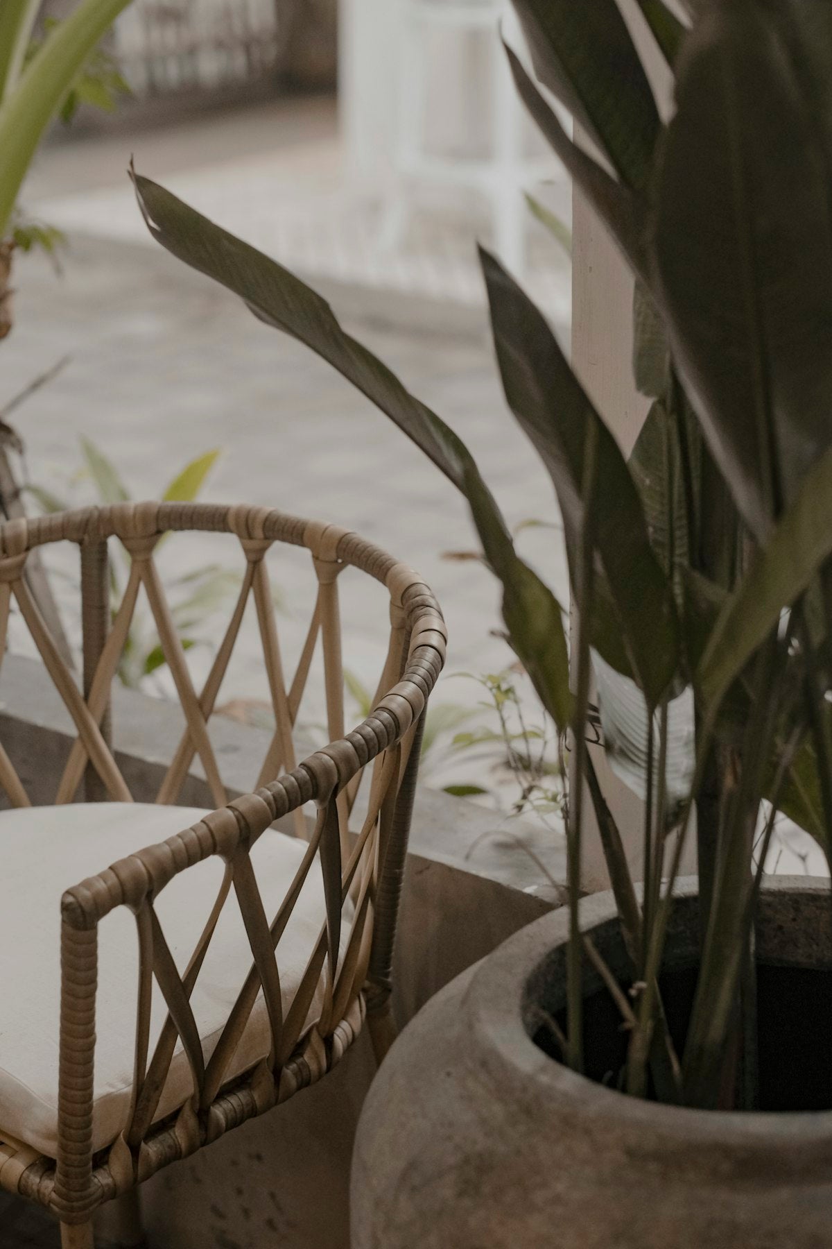Rattan-effect garden armchair, styled outdoors